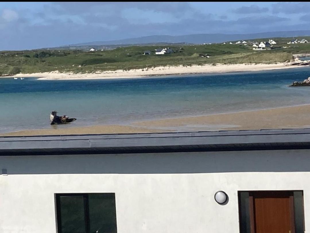 Ostan Gweedore Deluxe Apartments Bunbeg Eksteriør billede